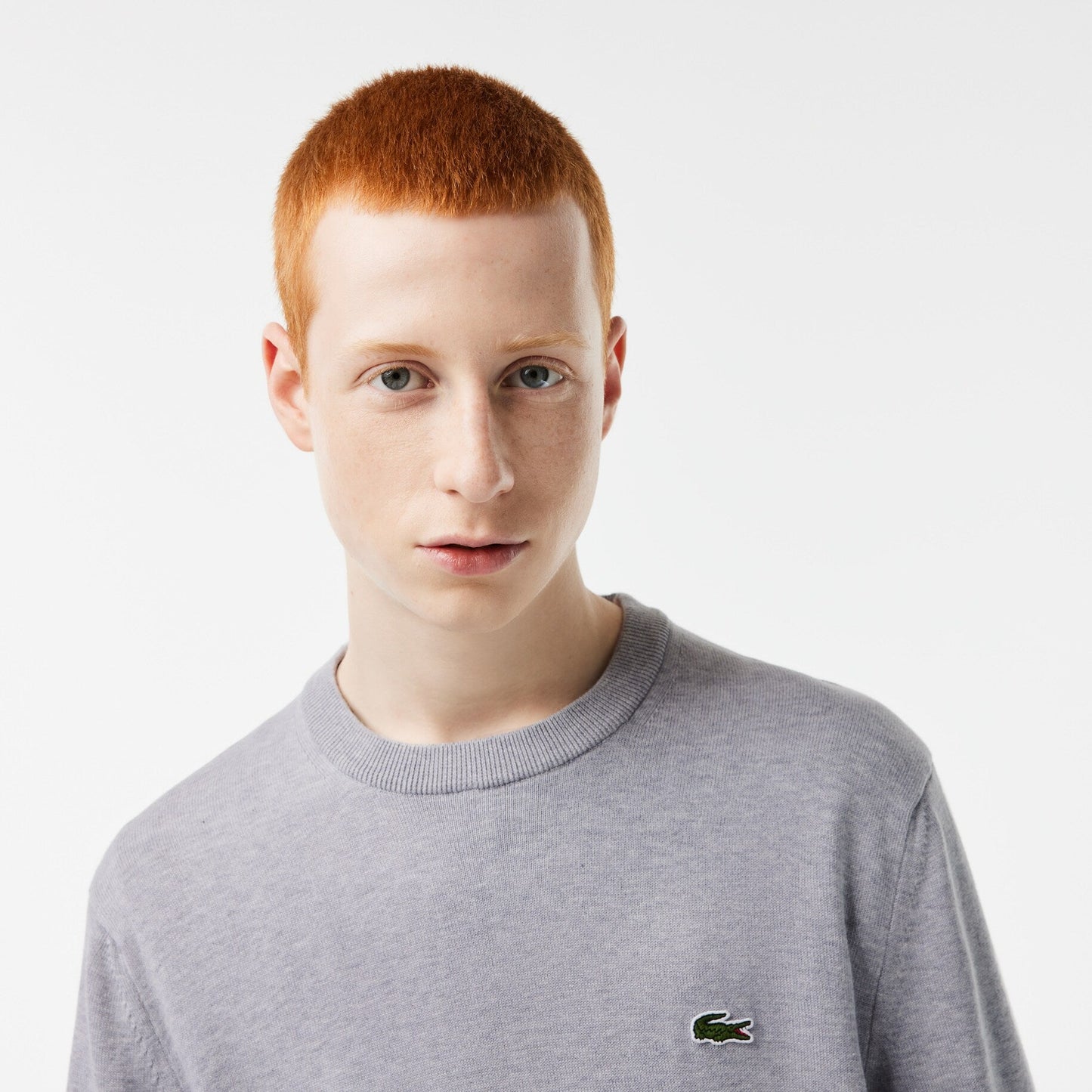 Lichtblauwe katoenen crew neck pullover Lacoste - AH1985/HBP